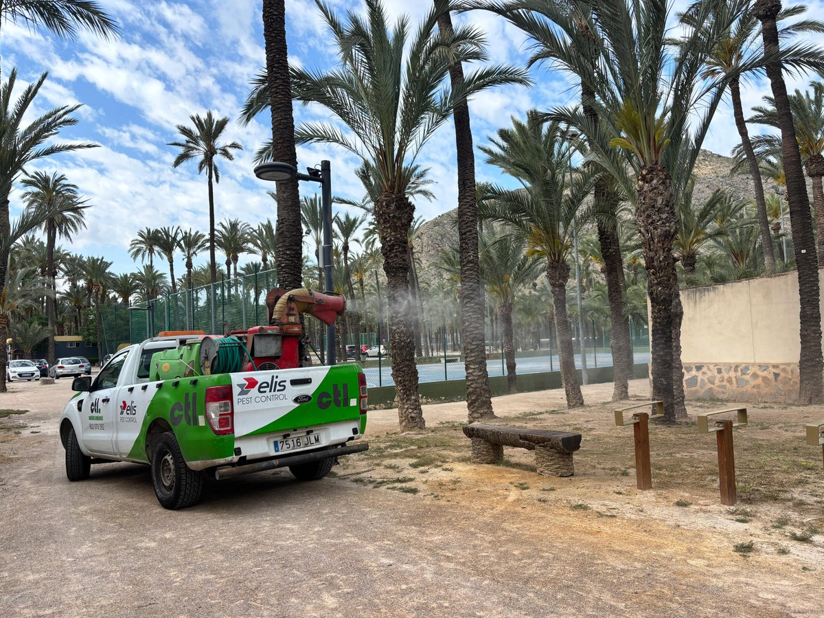 AytoOrihuela tweet media