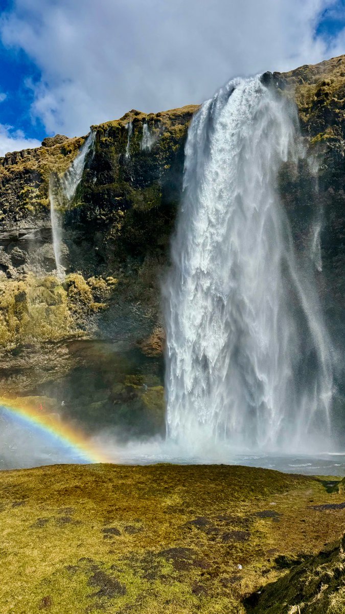 BusTravel Iceland tweet media