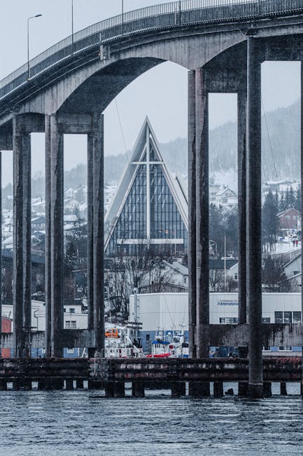 Helian Wilmer tweet media