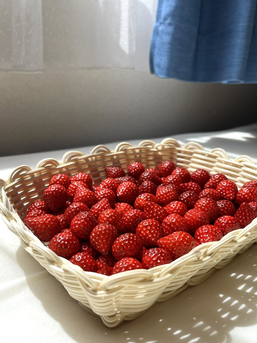 キウイ🍓フェイクスイーツ作家🍓 (@kiuiringo) / Posts / X