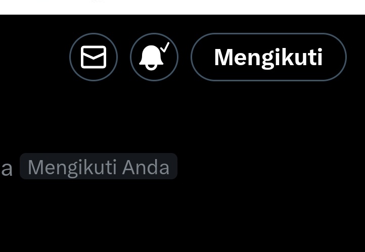 mikooo tweet media
