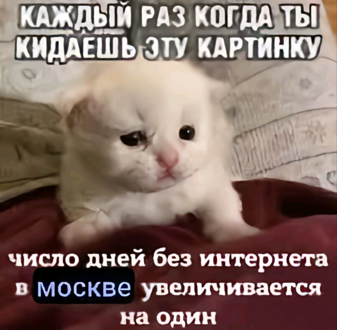 Жмых и ДШРГ Родничок tweet media