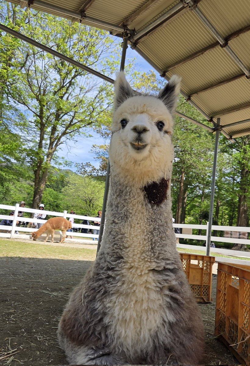 樽ケ橋遊園 tweet media