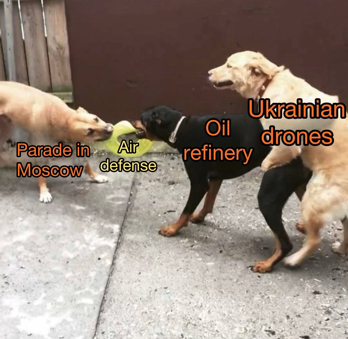 Oksii ✚ 🇺🇦 tweet media