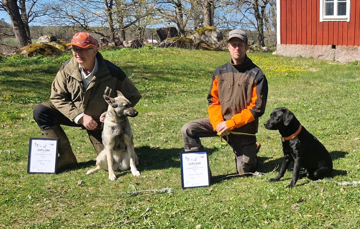 Länets vassaste eftersöksekipage utsågs vid tävling i Tunaskogarna dagensvastervik.se/nyheter/e/3188… #NYHETER