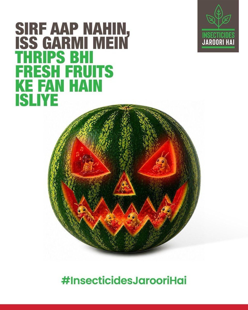 InsecticidesJH's tweet photo. Garmi sirf humein hi nahi lagti 👀🍉
Thrips bhi fresh fruits ka maza lene pahunch jaate hain!

Agar aap chahte ho ki thrips fruits ka maja lekar unhe barbaad na karein toh insecticides ka upyog karna jaroori hai.

[Insecticides Jaroori Hai, Agriculture, IILFoundation, Crop Care] https://t.co/7vaOgYmOt1