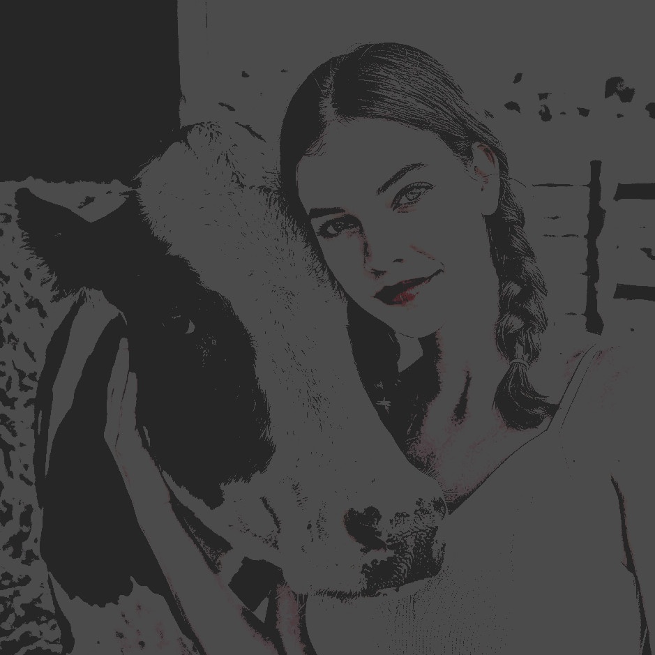 merinthax's tweet photo. ⠀
⠀
         . .  it’s molly, and she’s a cow but don’t tell her that. she’s very sensitive  、✰
⠀
⠀ https://t.co/wz6r9Fw4ZZ