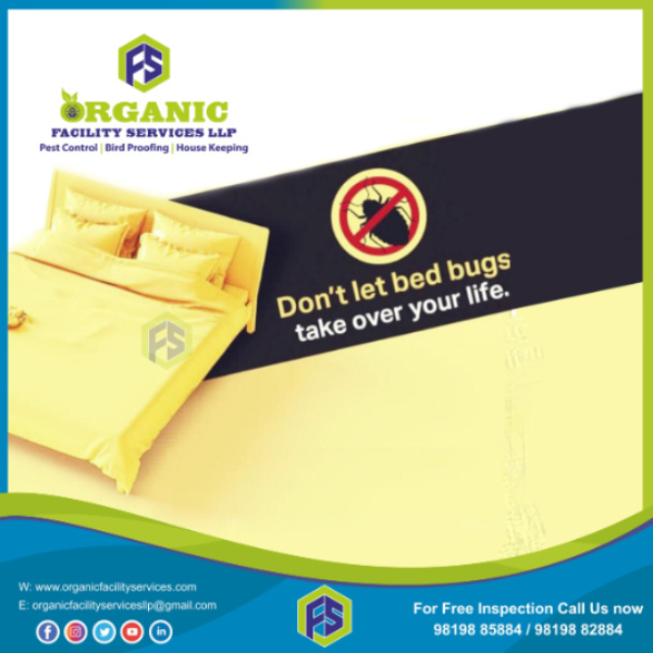 LlpOrganic's tweet photo. Bed Bugs Treatment Service in Dahisar for Restoring Comfortable Slee ..For more info visit...https://t.co/CrmW43q2Ly https://t.co/1tGy6ynR52