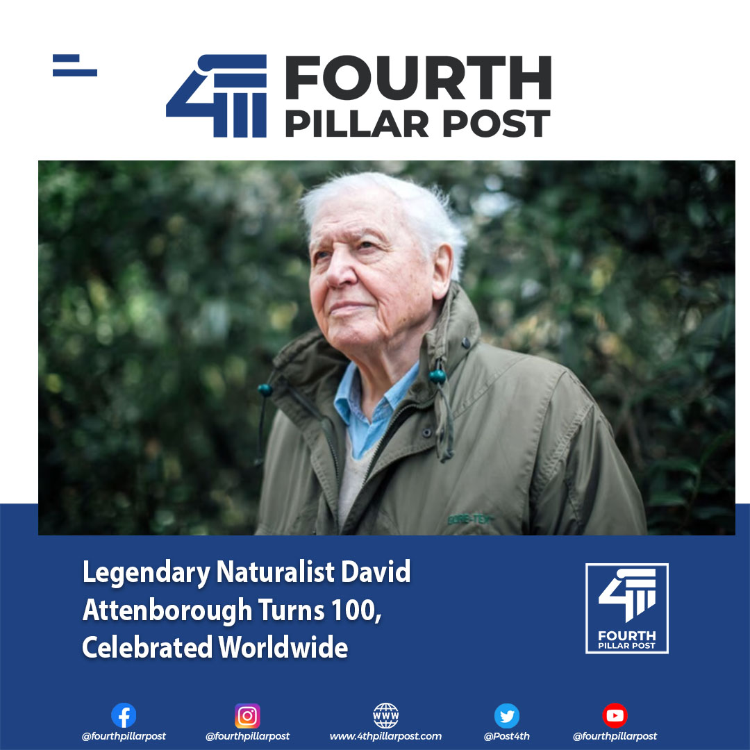 Fourth Pillar Post tweet media