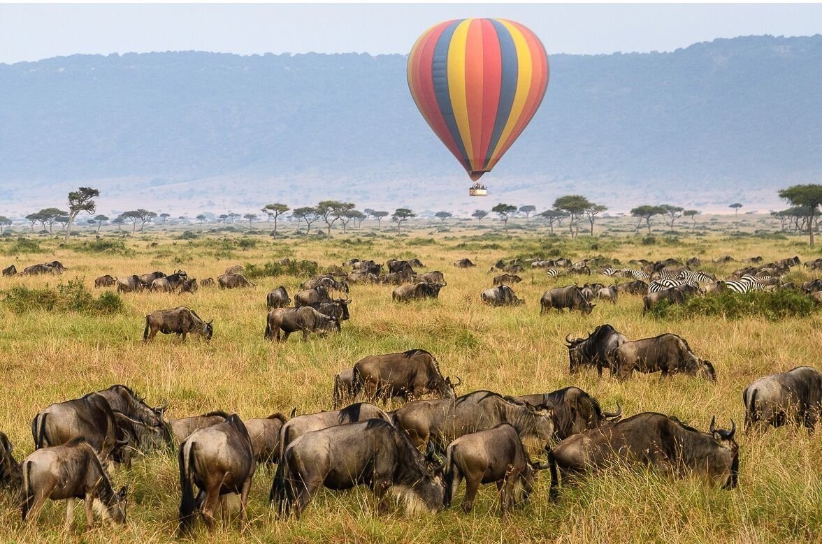 KileleClimb's tweet photo. 🌍 Experience Tanzania’s Ultimate Safari &amp; Beach Escape in Just 8 Days!

🌐 Visit Our Website at https://t.co/kRJSRIhkQ3

#KileleClimb #TanzaniaSafari #SerengetiSafari #NgorongoroCrater #TarangireSafari #ZanzibarHoliday https://t.co/3z8qn1GTnb