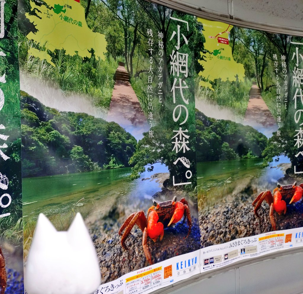 品川に帰ってきたら小網代の森のポスターが……！
どうやら、そろそろホタルのシーズンらしい。三崎からすごく近いから、行ってみたい……！