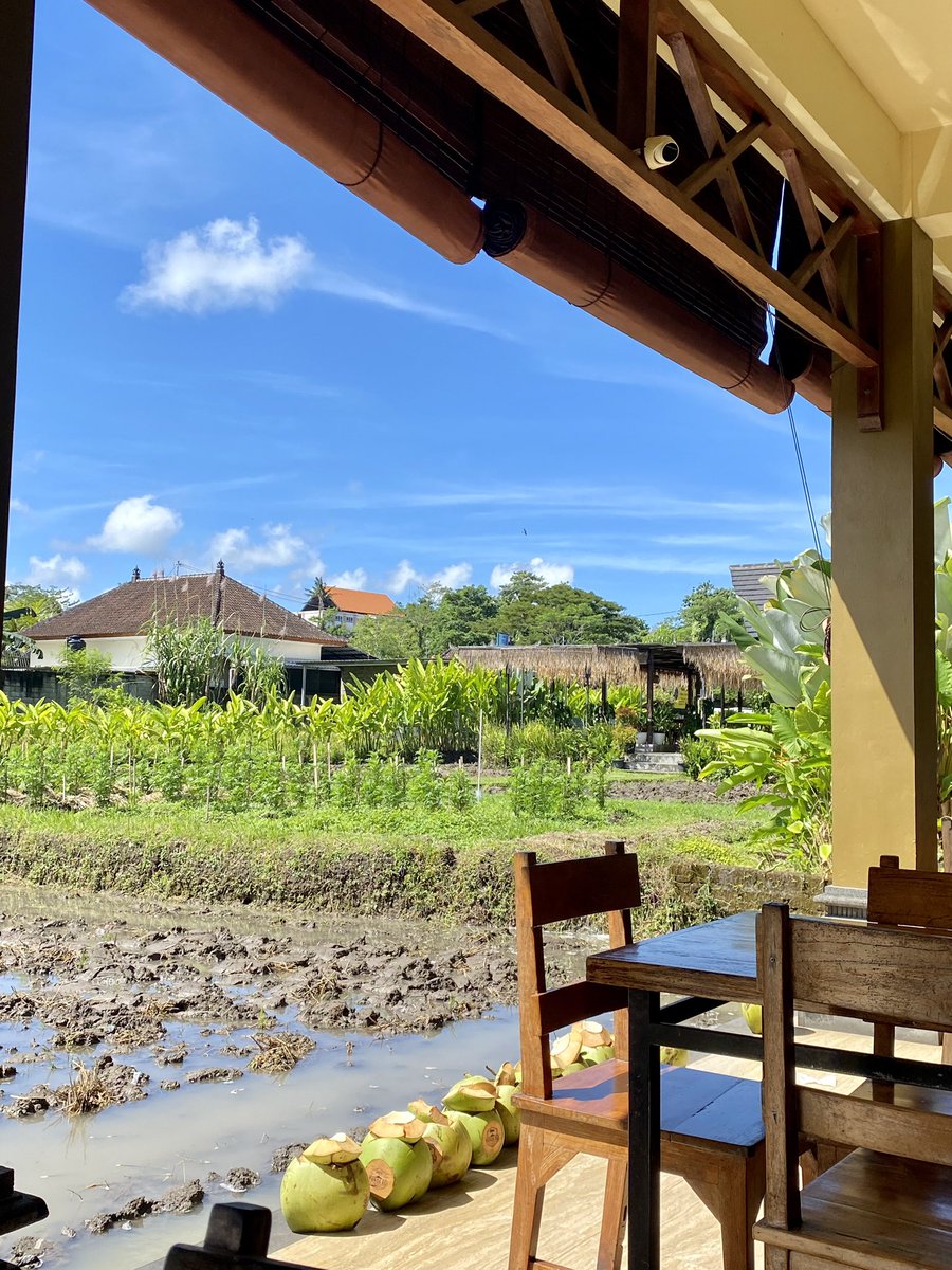 view bali selau bagus