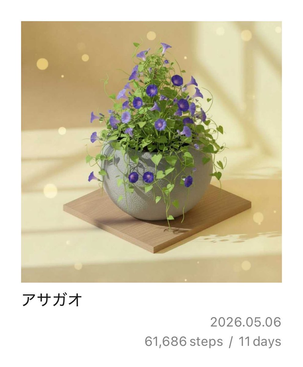 PixelPot アサガオが育ったよ！ ポット大きいな