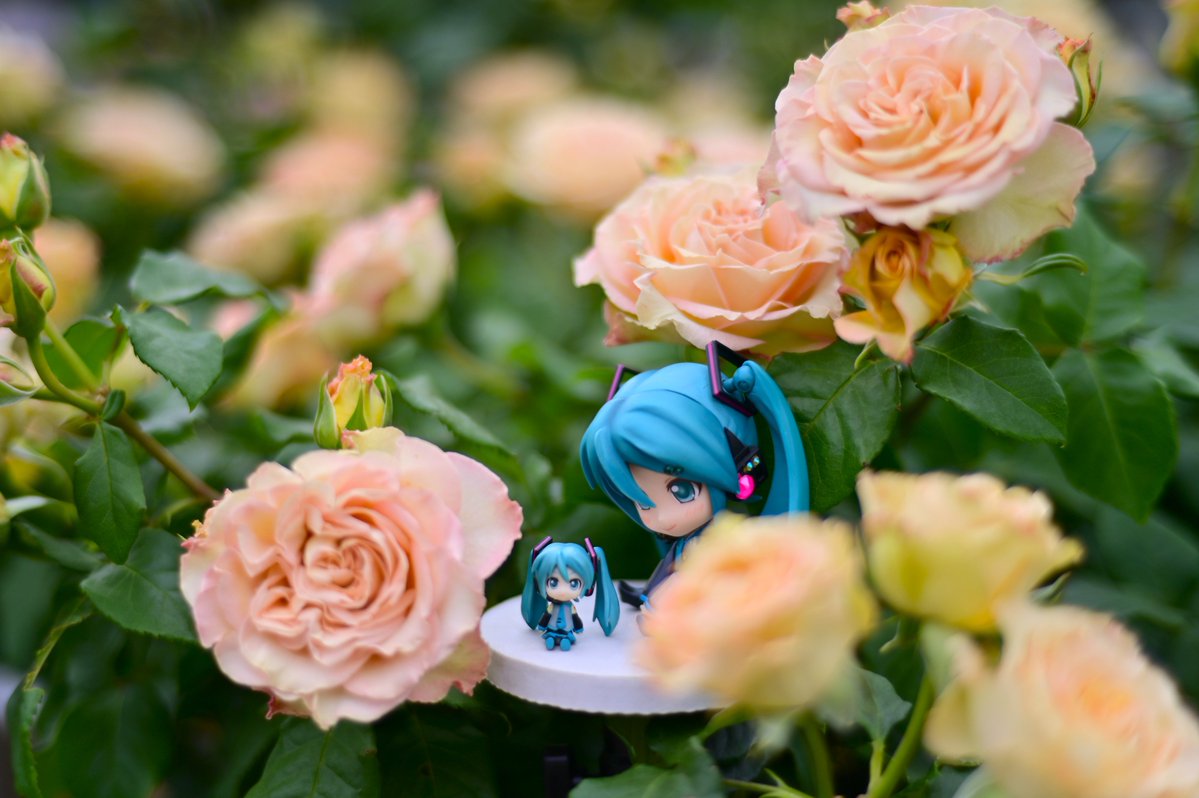 華やかなのです(^^♪