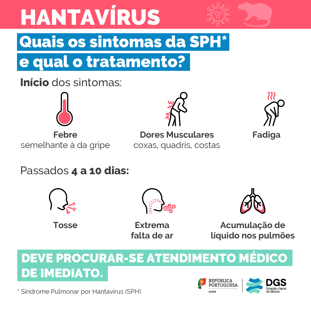 DGS tweet media