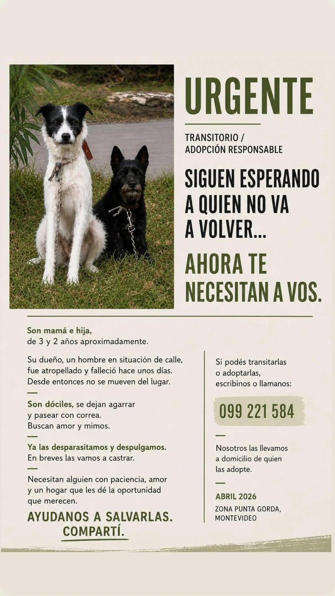 Mikamagic80's tweet photo. La tristeza de esas perritas es enorme, mira sus ojos https://t.co/V3J5qgzphZ