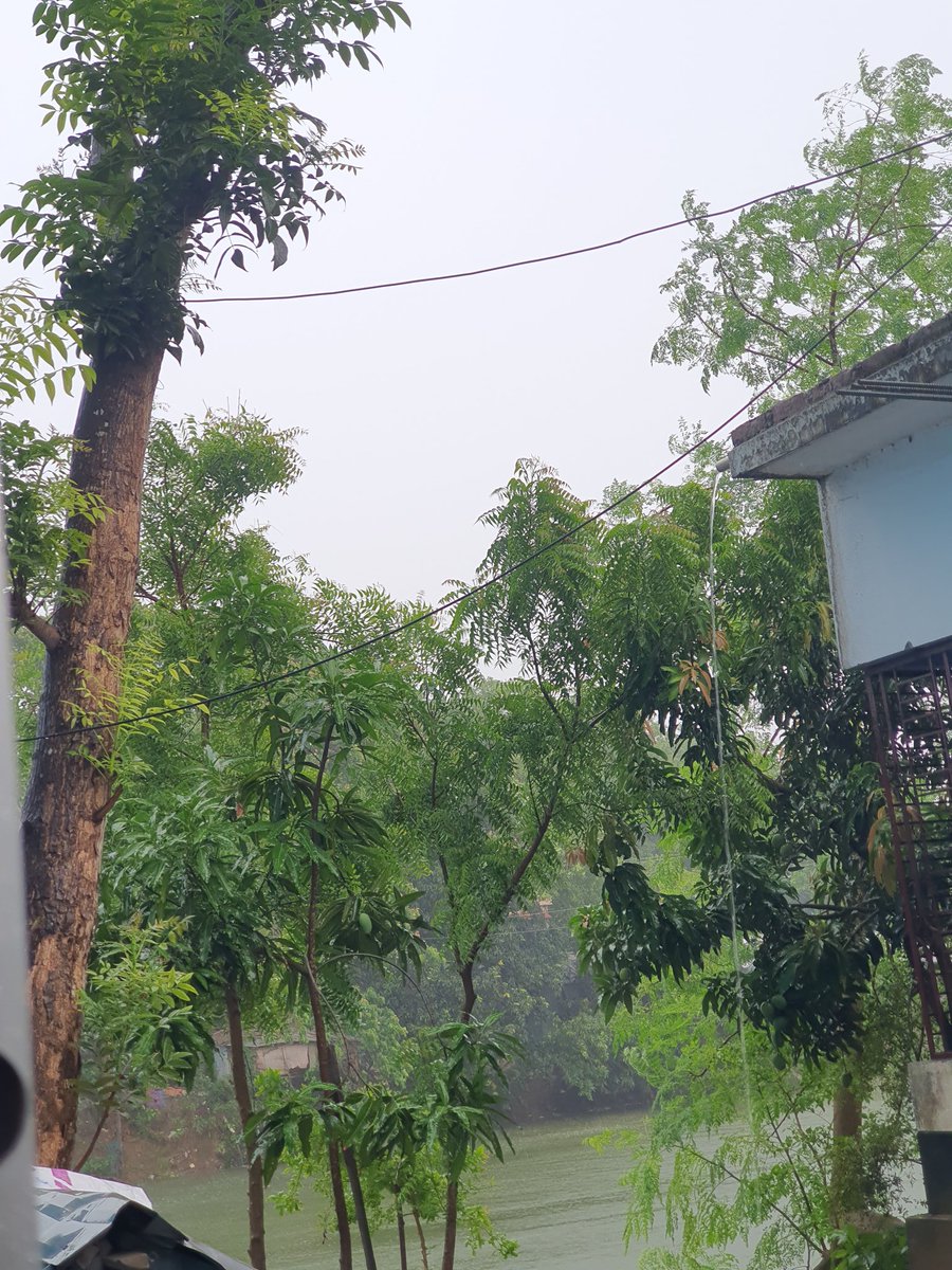 Teddy_Bear_02's tweet photo. #rain🌧️
#raiyday☔ https://t.co/47c87DPaMv