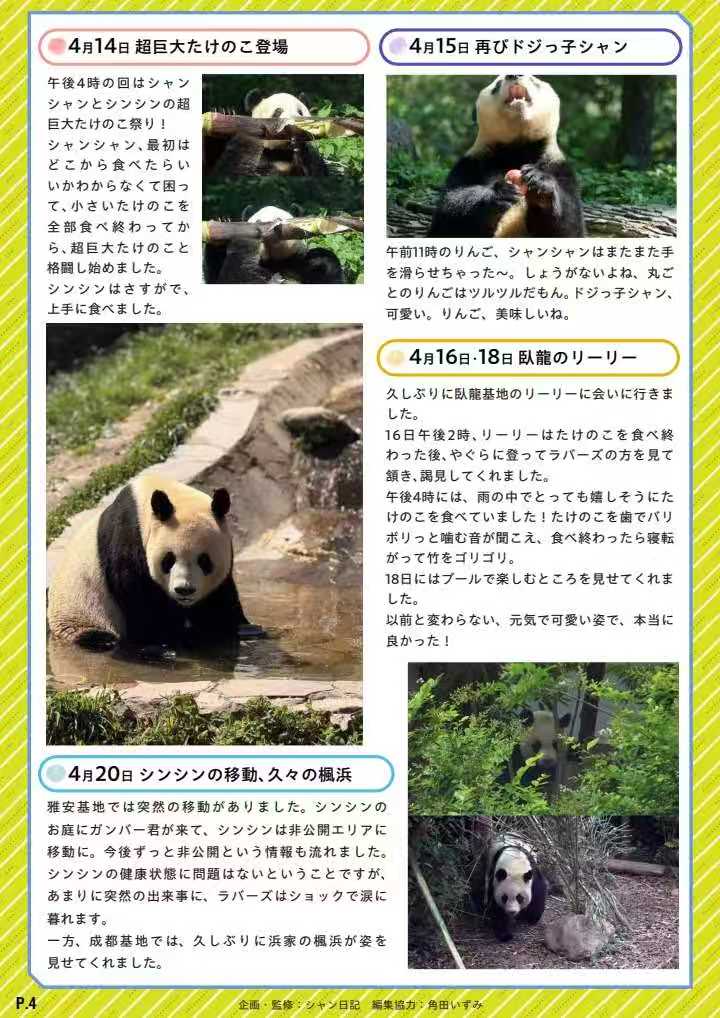 シャンシャン