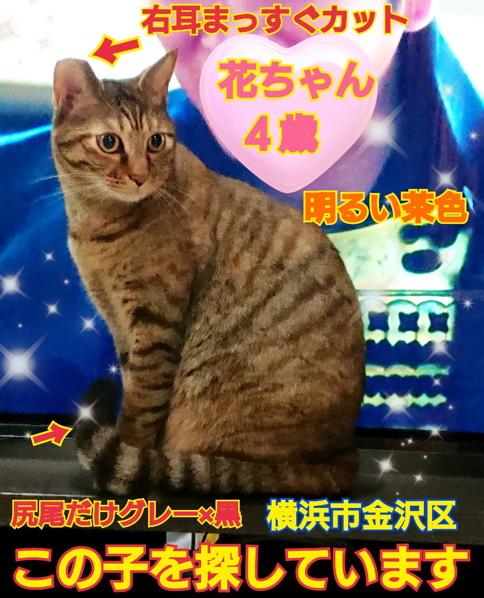 えみ tweet media