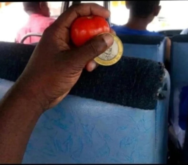 Najua apa conductor atanielewa