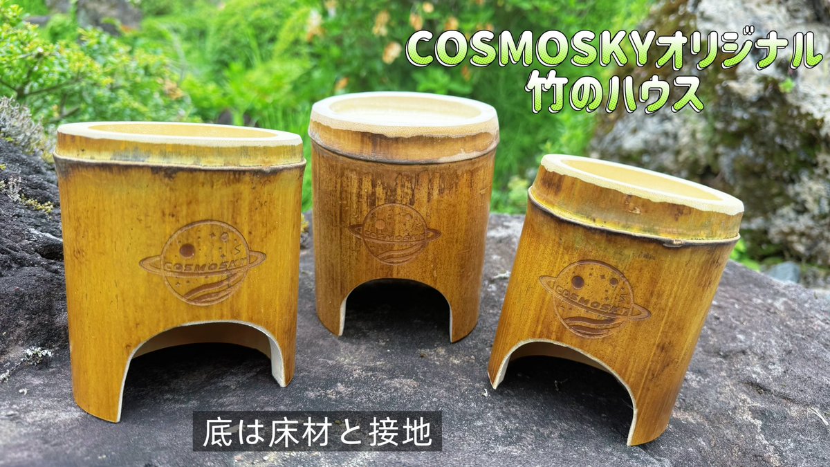 COSMOSKY_star's tweet photo. 🎋⭐新商品のお知らせ✨
お待たせいたしました🎉竹のハウスに新しいタイプが登場！防腐剤・合成塗料不使用、完全天然素材の竹のハウスです💚🌵小さいお友達におすすめ🐹🐭
こちらは5/9(土)ローデンツ東京で販売開始となります🪐数量限定ですのでお早めにG12へお立ち寄りください🙆🏻‍♀️#ローデンツ東京 https://t.co/mjJhSlAOE8