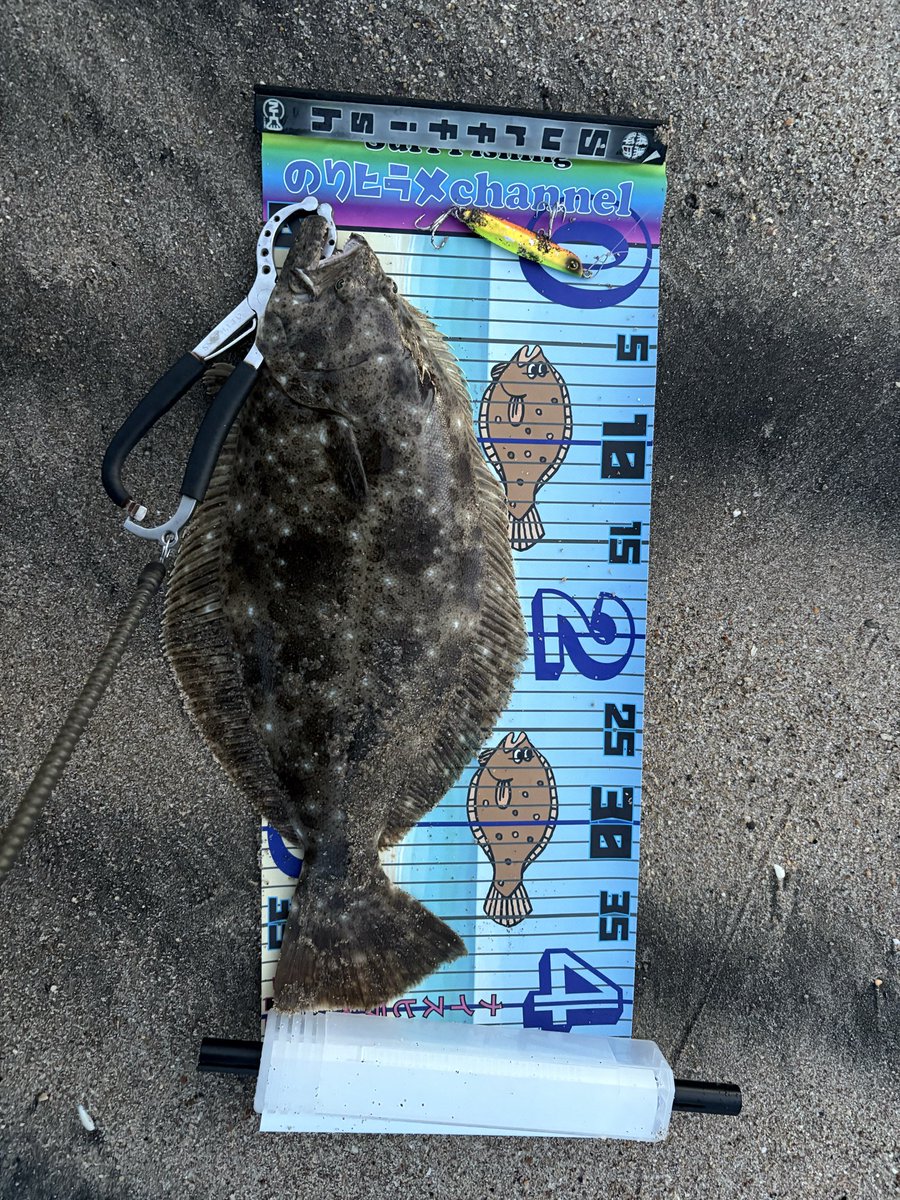 surffishfish1's tweet photo. #常磐サーフ
ベストに装着していたはずの
のりヒラメメジャー巻き取りケ－ス付き
surf fishバージョンを紛失しました😢
立ちこみ時に流れた可能性と
何回かベストを脱ぎ着していた時に落とした可能性がアリ、投稿しました😅
もし、拾われた方がいらっしゃいましたら、ご連絡よろしくお願いします🙇 https://t.co/UjHTz1M2Iy