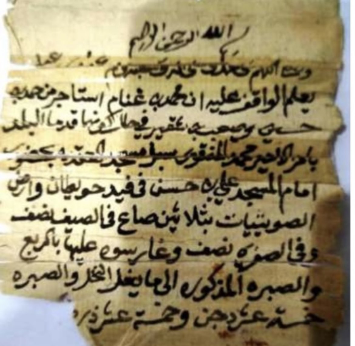 م. فهد بن محمد آل عبدالله tweet media