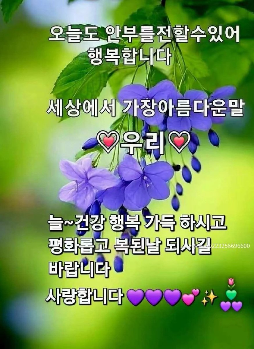 으르신 카톡 짤 모음👍 tweet media