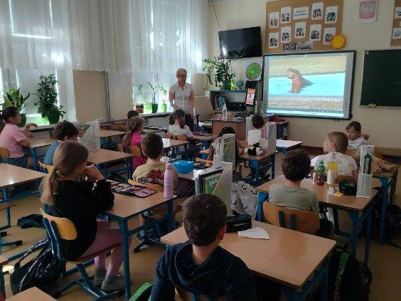 EwaRot9948's tweet photo. Dziś miałam przyjemność spotkać się z fantastycznymi dzieciakami w SP nr 246 w Warszawie - klasa 2B i 4C.

Przenieśliśmy się na sawannę - do delty Okawango w Afryce i na Islandię - na wyprawę ze stadem 80 koni.

Opowieściom i pytaniom nie było końca!

W gronie słuchaczy widzę wielu przyszłych, wspaniałych podróżników!

#ewarotbuga #ewarotbugaksiążki #konnopomarzenia #konnopoprzygody