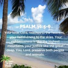 Praying for God to Shine His Light tweet media