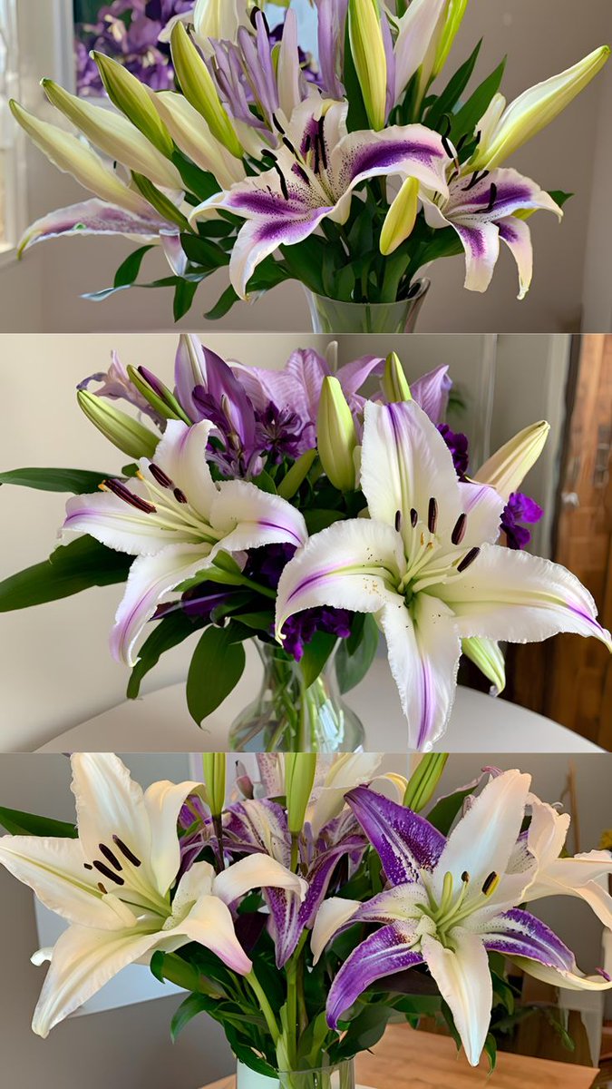 Flowers Life tweet media