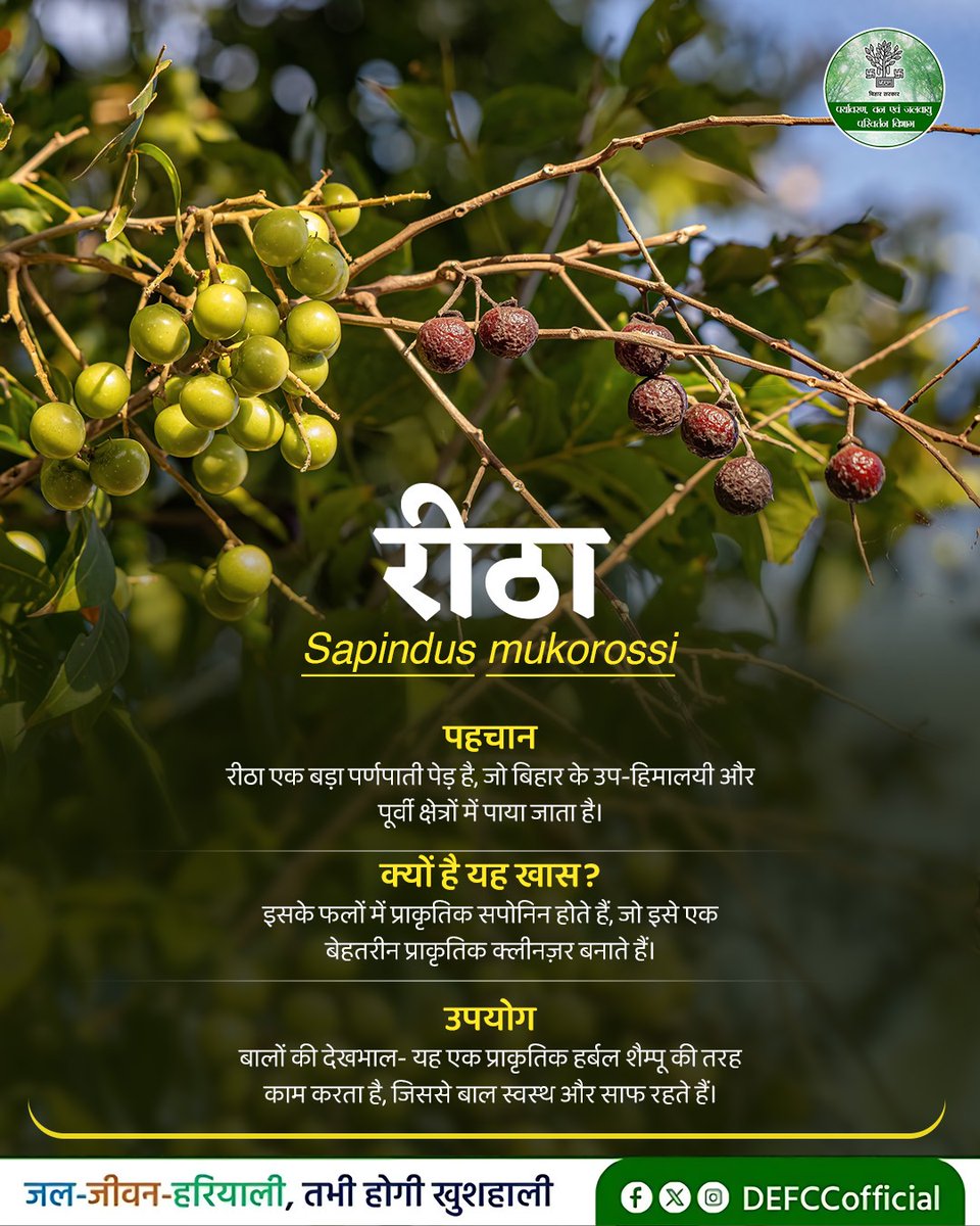 Department of Environment, Forest & Climate Change tweet media