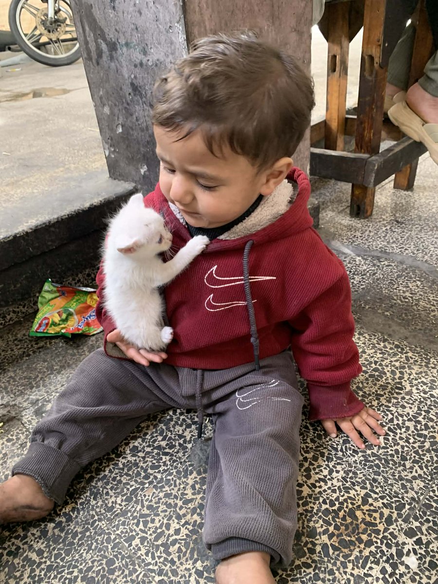 𝓞𝓼𝓪𝓶𝓪'𝓼 𝓕𝓪𝓶𝓲𝓵𝔂 𝓝𝓮𝓮𝓭𝓼 𝓨𝓸𝓾 🇵🇸✨ tweet media