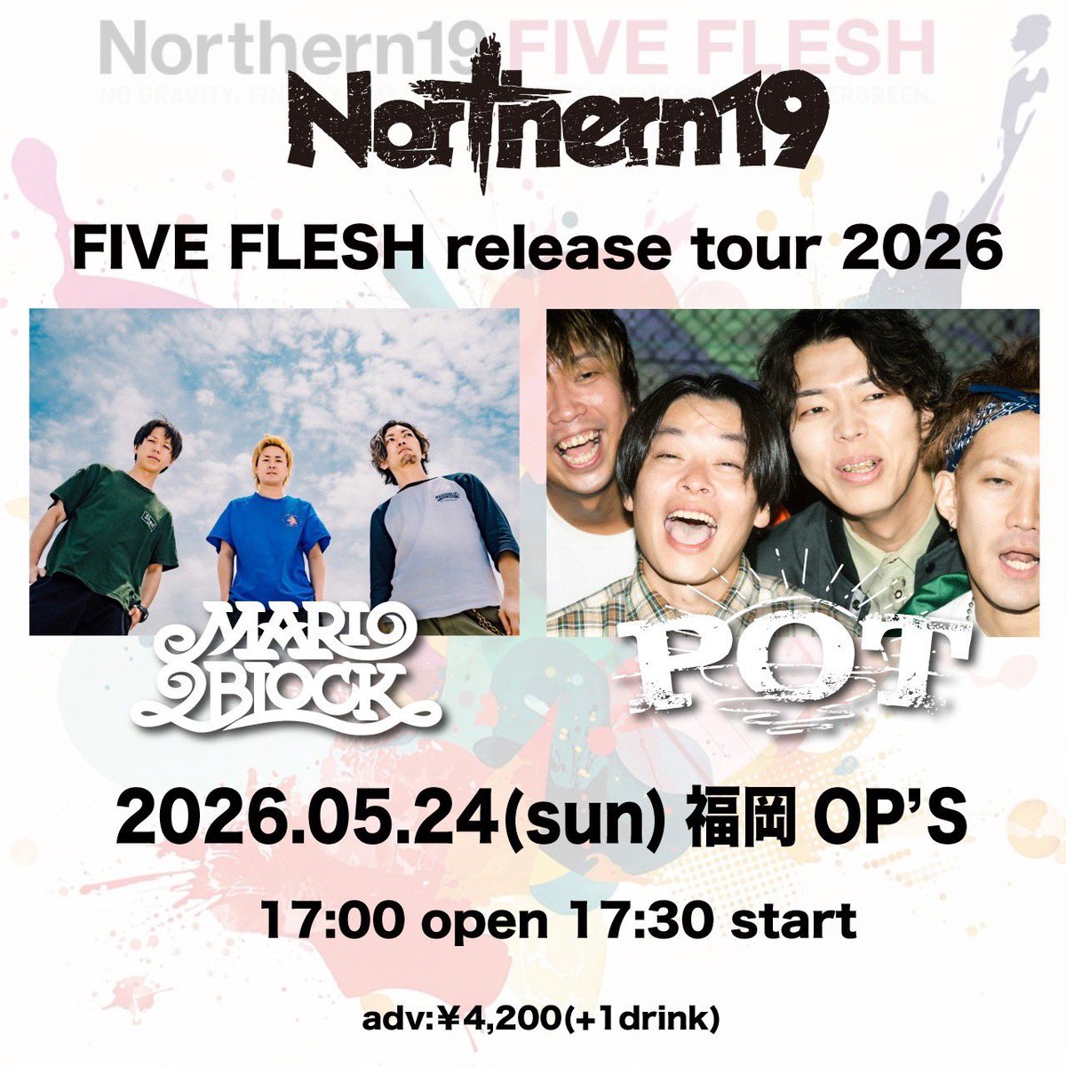 Northern19 tweet media