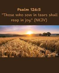 Praying for God to Shine His Light tweet media