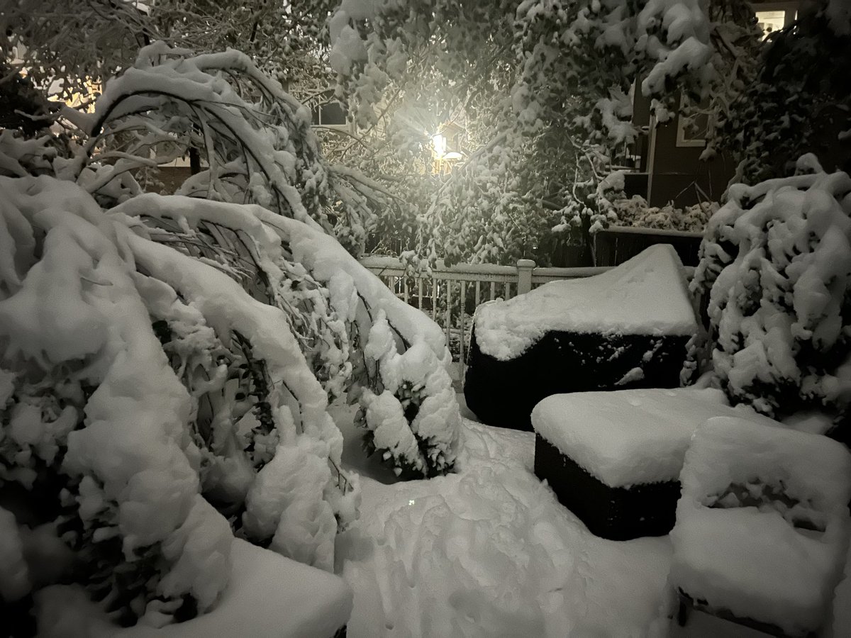 denmanh's tweet photo. This is for @KyleClark - who LOVES #PorchSnow pix! From Parker https://t.co/g8ONLonWRT