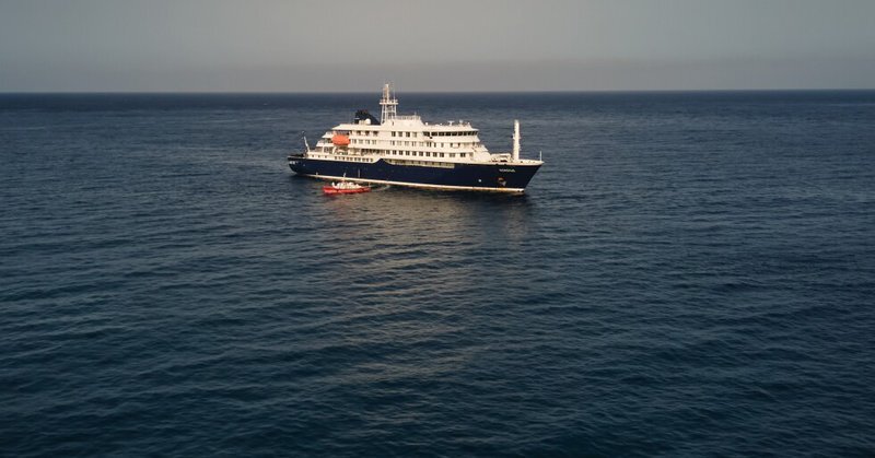 PETE_Breaking's tweet photo. The head of the World Health Organization says three patients with suspected hantavirus cases have been evacuated from an affected cruise ship and are on their way to the Netherlands. https://t.co/y23BDhkbTP https://t.co/MKOkd1PqeP