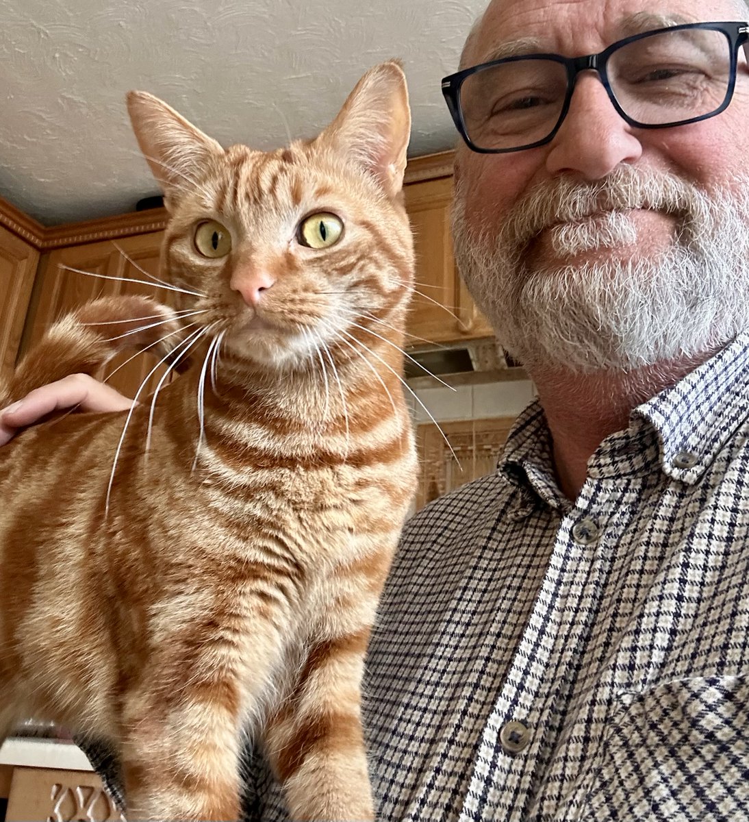 D.V. Catt tweet media