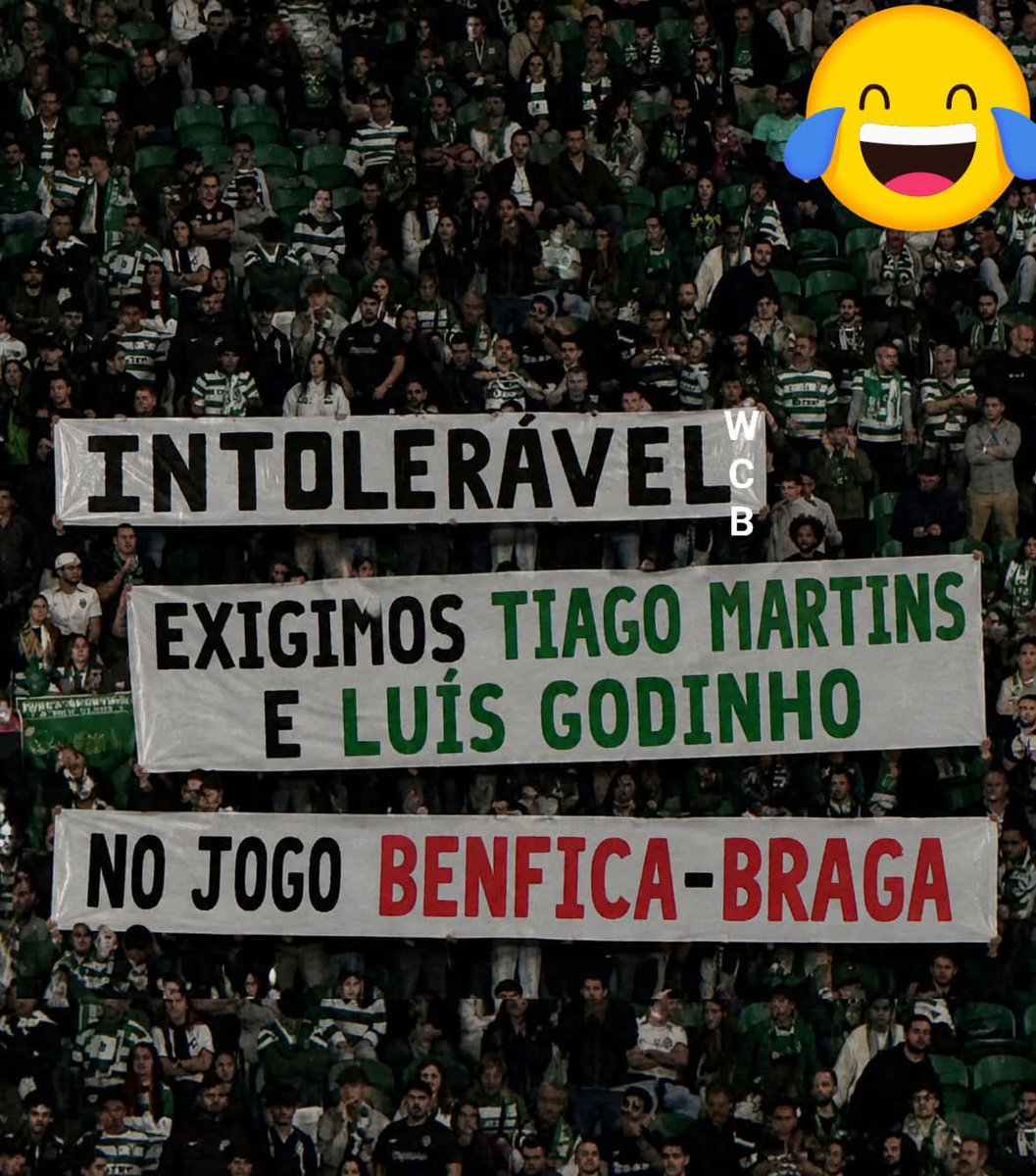 Tiago Raposo (@traposo78263) on Twitter photo 