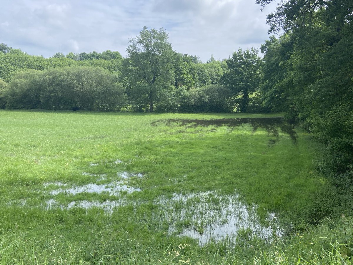 SebDecaux's tweet photo. #Bretagne #IlletetVilaine #Ille
Chevaigné ce 6 mai 2026
La terre assoiffée en avril puis rassasiée début mai https://t.co/jvB4UJpx8a