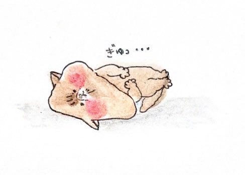5/6(水)  #ぽ日記
連休明けは心がぎゅってなる