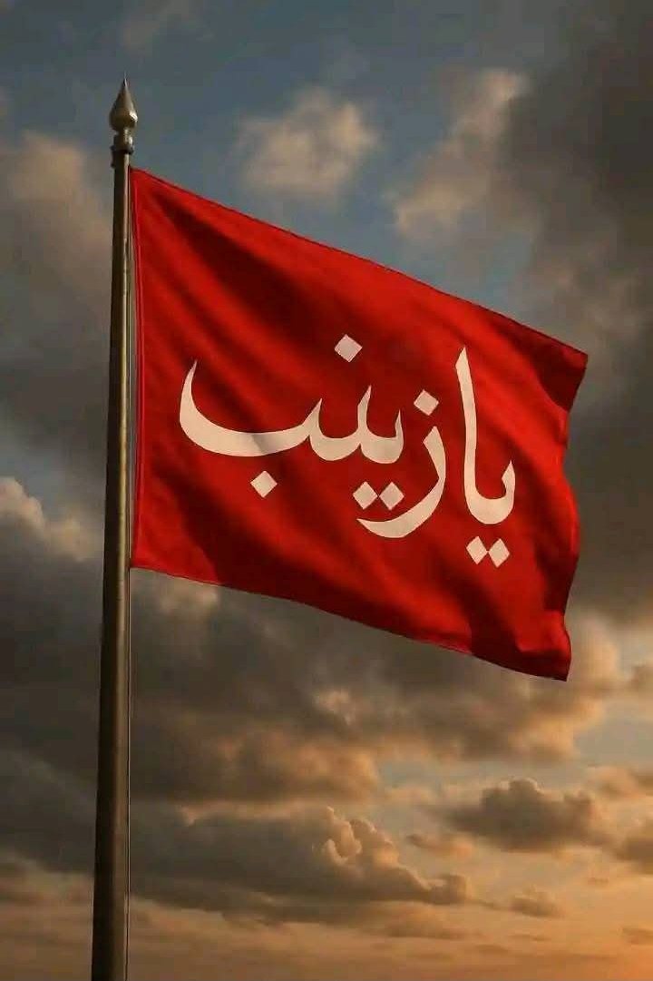 Malika Zainab tweet media