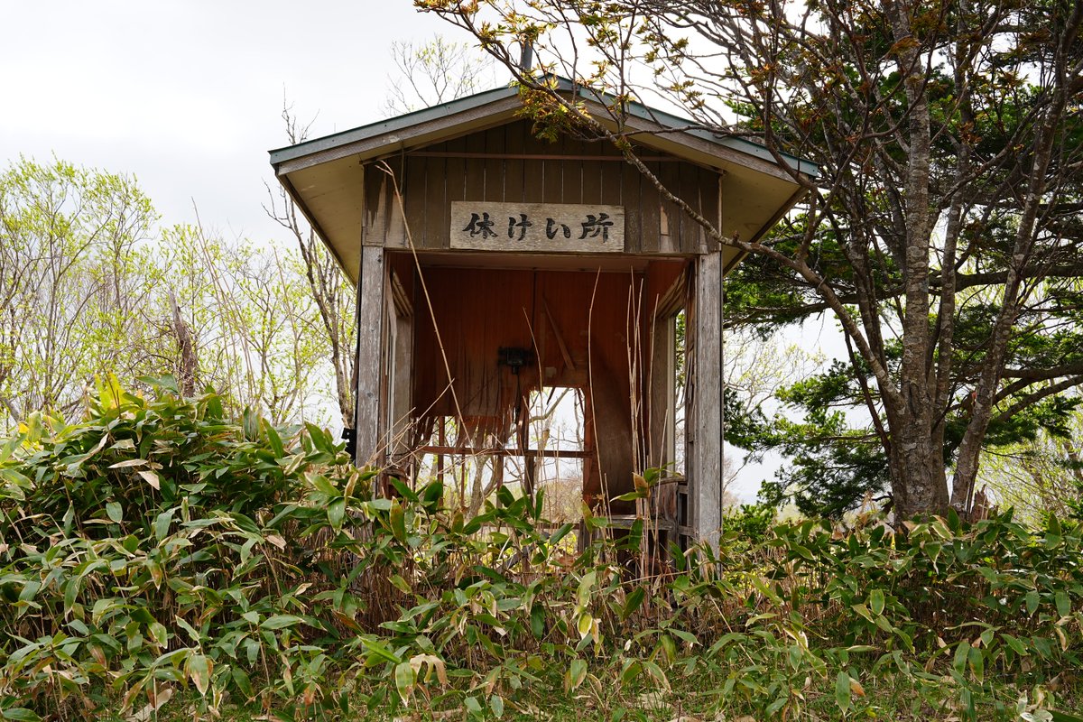 白アルバ tweet media