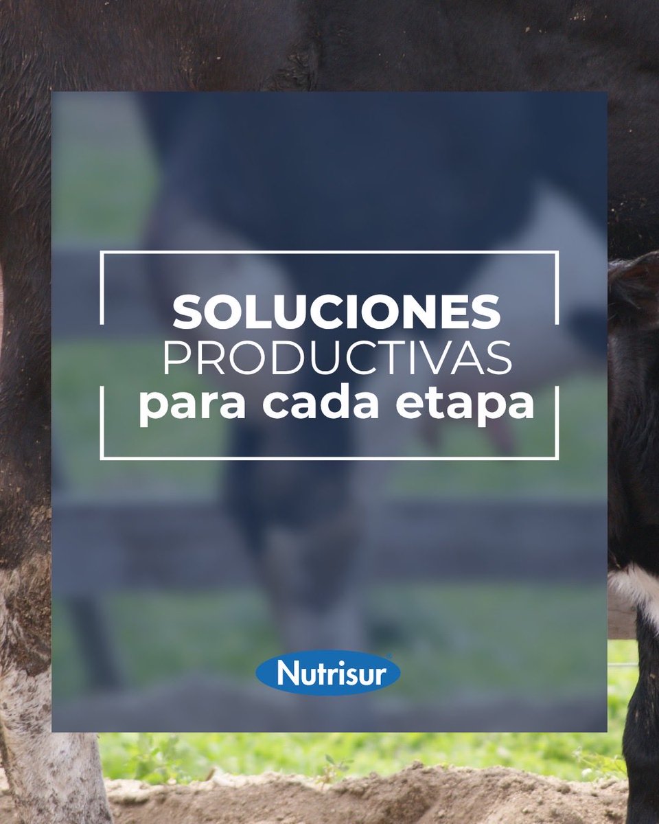 Nutrisur tweet media