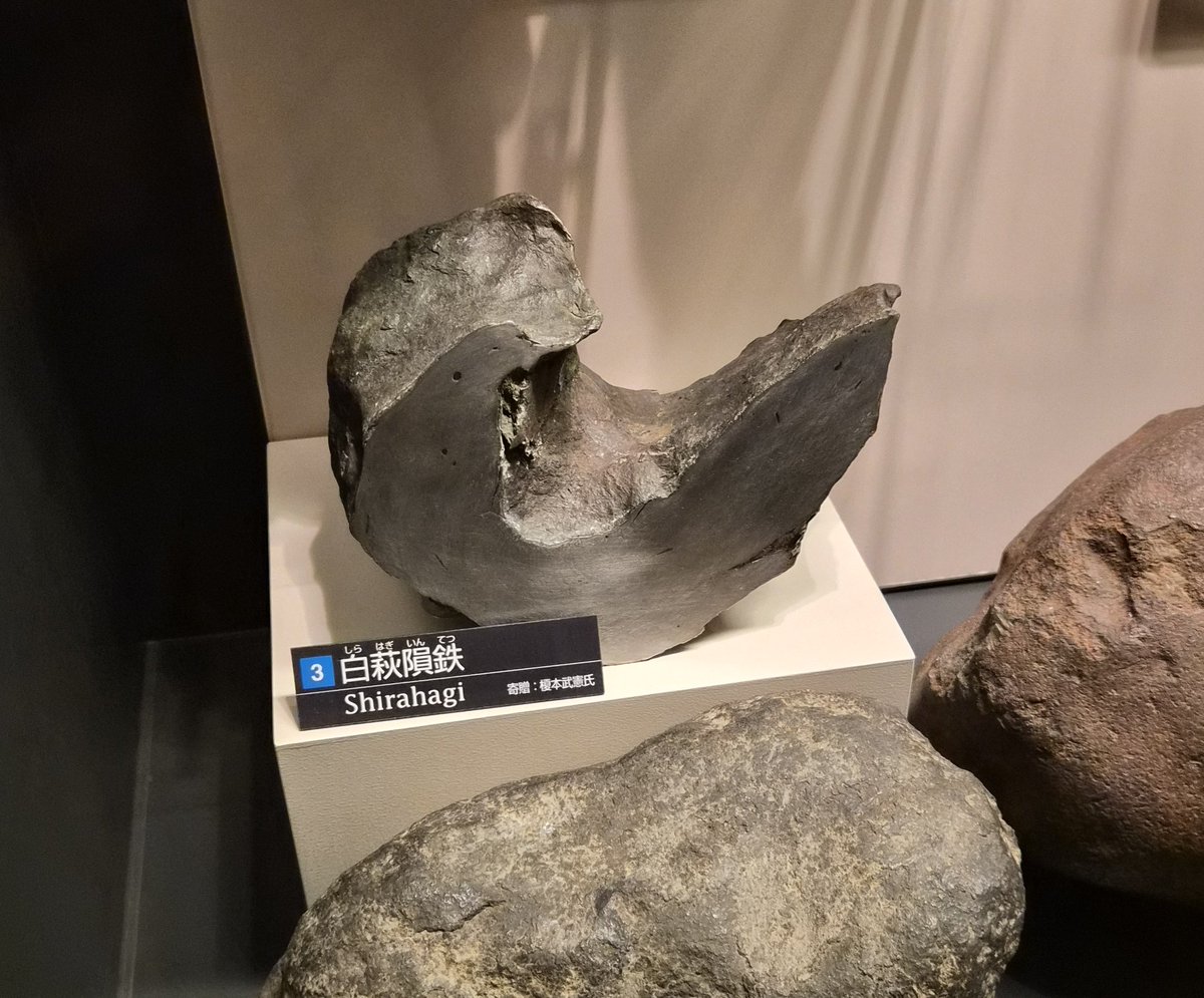 かはく 今日のお気に。鉱石と隕石と化石。石でも多種多様である。