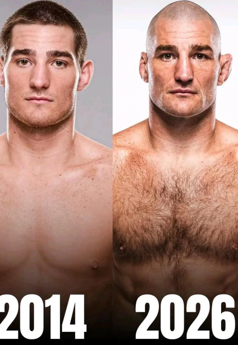 MMA FIXED tweet media
