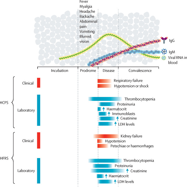 Hantavirus/Andes virus infections

<a href="/CDCgov/">CDC</a> 
<a href="/EIDjournal/">EID journal</a> 
<a href="/TheLancetInfDis/">The Lancet Infectious Diseases</a> 
<a href="/CMIJournal/">Clinical Microbiology and Infection</a> 

・wwwnc.cdc.gov/eid/article/26…

・clinicalmicrobiologyandinfection.org/article/S1198-…

・thelancet.com/journals/lanin…

・thelancet.com/journals/lanin…
