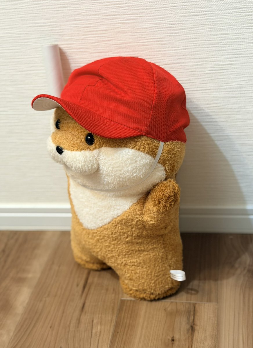 息子の紅白帽とラップの芯がぴったり🧢