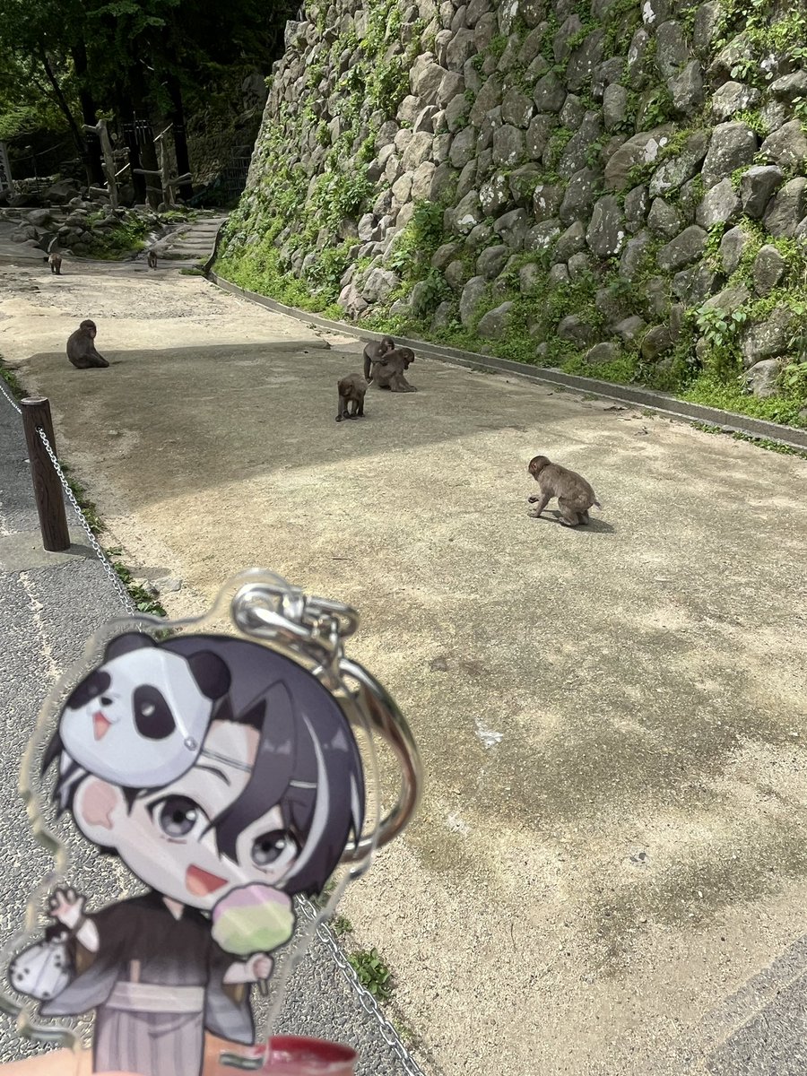 yuka tweet media