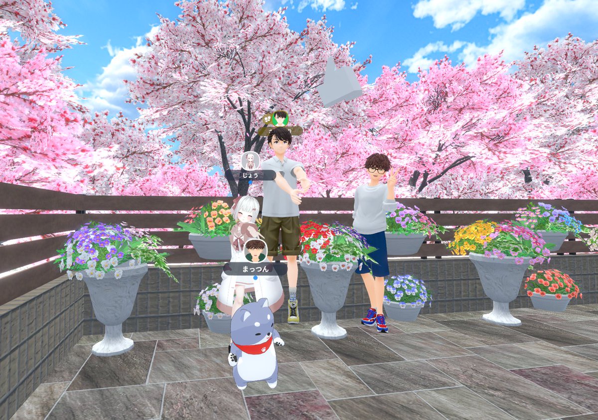 長谷井 嬢 tweet media